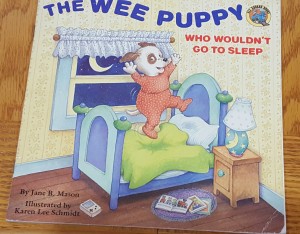 Picture Book With a Lesson